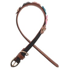 Laisse Pour Chiot Marguerite