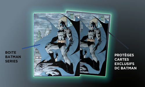 Dragon shield batman art 100 - dragon,