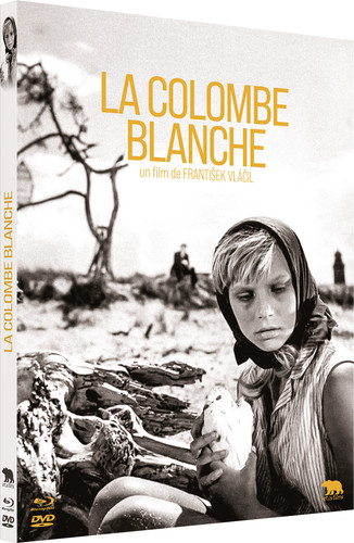 Colombe blanche combo - la,