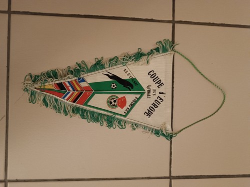 Fanion saint etienne - as,