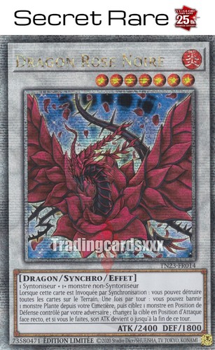 Dragon rose noire - dragon,
