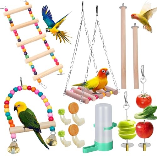 Pièces jouet perroquet - pièces,