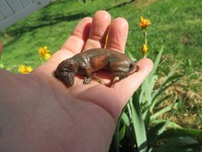 ancien petit bronze teckel