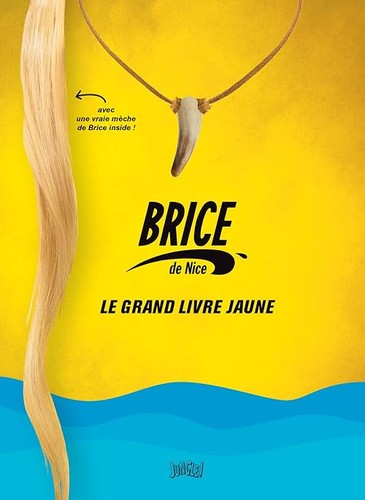 Brice nice grand - brice, de
