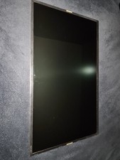 ​Dalle Écran LCD 17.3"