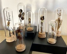 Globes sculpture tête statue champignon crâne vanité objet cabinet de curiosité