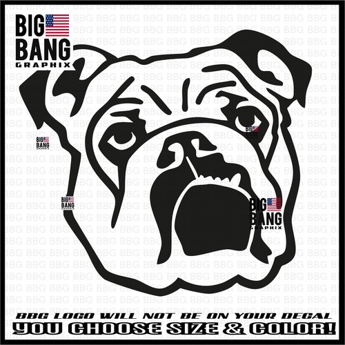 British old english bulldog - old,