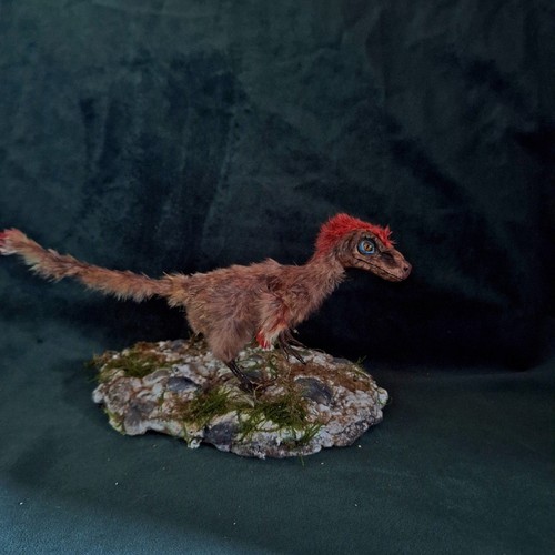 Taxidermie dinosaure - taxidermie,