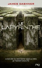 Le labyrinthe Tome I 