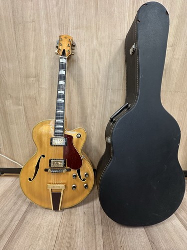 Acoustic electric guitar - electric,