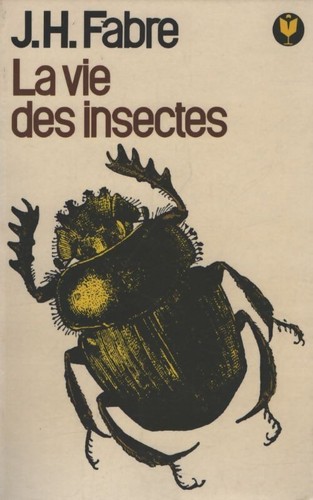 Vie des insectes - vie,