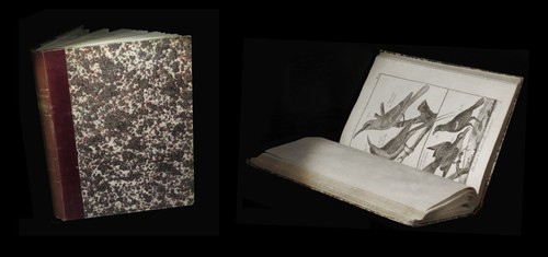 Encyclopédie panckoucke - encyclopédie,