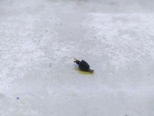 1/18 Levier de mod 4x4 Mitsubishi Pajero Dakar Solido