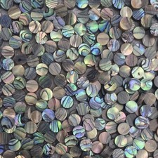 50x Guitare Coquillage d 'Abalone Marque PAUA Mosaïque 6mm lutherie cinquante
