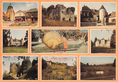 Cluis foire aux lumas - 36,