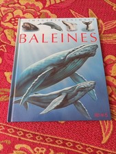 Les baleines L'imagerie