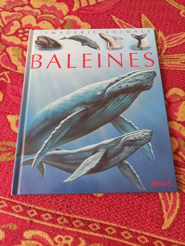 Les baleines imagerie - les, l'imagerie