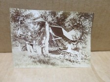 Scène animée tricycle cheval de bois  ancienne photographie vers 1880