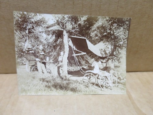 Scène animée tricycle cheval