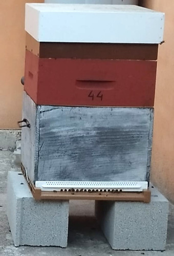 Ruches dadant peuplée 10 - peuplée,,