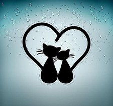 Autocollant sticker voiture chambre enfant chat couple decoration mural r1