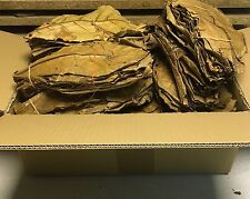 PREISHIT 500 g premium xl