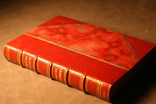 Anatole france mannequin - anatole,