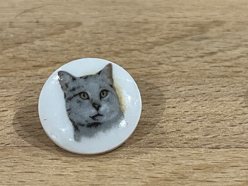 Pins pin animaux chat - pin, cat