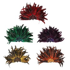 Coiffe à plumes pour femmes