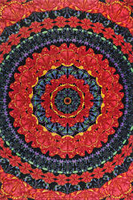 3D BLOOMING BUTTERFLIES