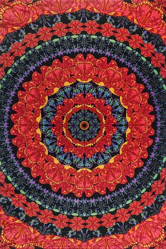 Blooming butterflies - blooming,