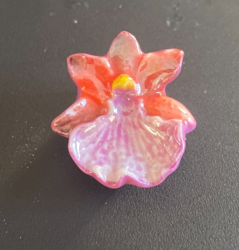 Feve les orchidees - feve,