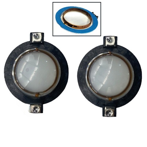 Replacement diaphragm rcf - 2x,