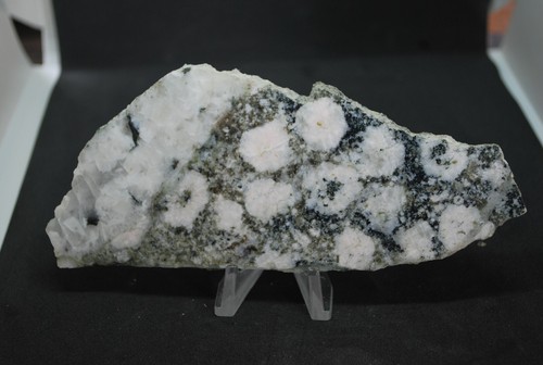 Rare diorite orbiculaire - rare,