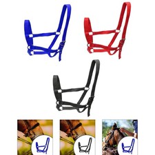 Licol pour cheval, licou à