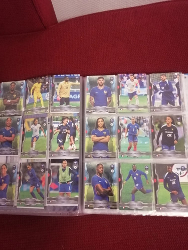 Fff bleu collectif panini - fff,