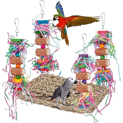 Jouet perroquet oiseau - jouet, perroquet,