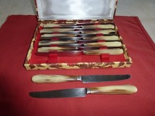 COFFRET 12 COUTEAUX INOX MANCHE CORNE BLONDE