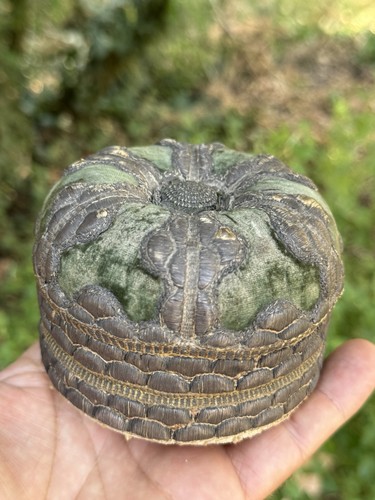 Boîte ancienne xviiie - boîte,