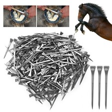 s250 clous de fer à cheval E6