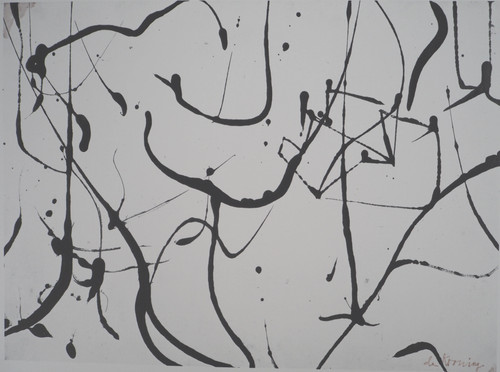Willem kooning - de,