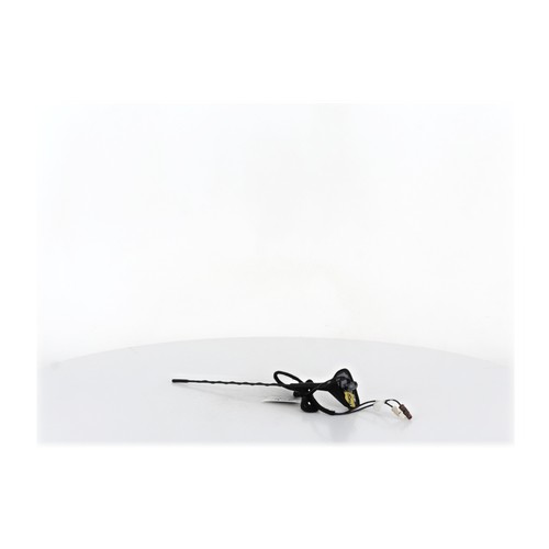 Antenne renault twingo - antenne,