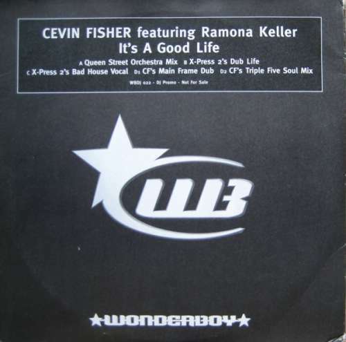 Disque vinyle promo cevin - disque,