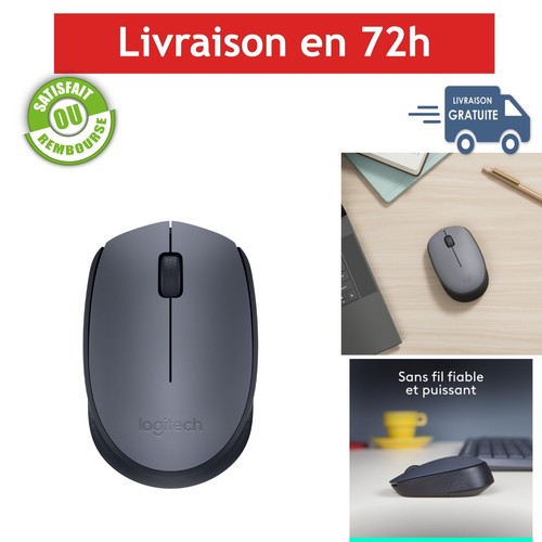 Logitech m170 souris - m170,