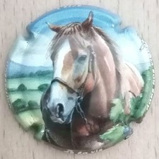 capsule de mousseux DE LA VIE