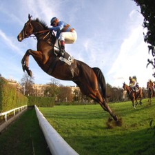 METHODE de TURF: OPTIMAL SYSTEM de Sylvain Haert (Couplé - Trio) (Courses,PMU)