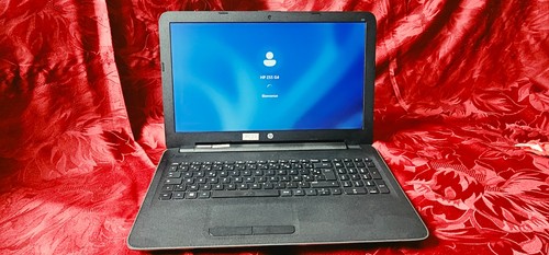 255 amd e1 - , dual