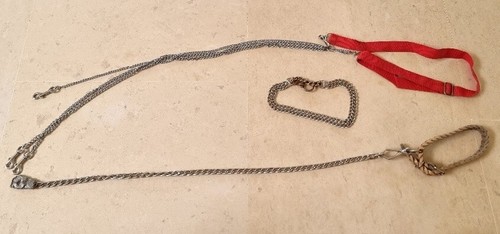 Lot laisse collier harnais - lot, collier,