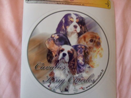Autocollant motif chien - -,
