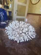 Joli Corail Blanc Coraux L 16CM H 10,5CM collection Marine